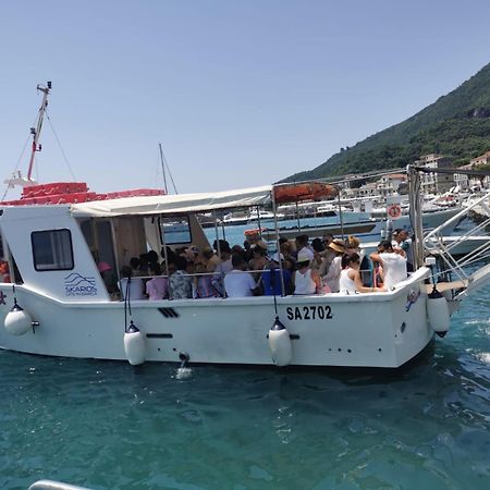 Apartament Nennella Cilento House Cuccaro Vetere Zewnętrze zdjęcie
