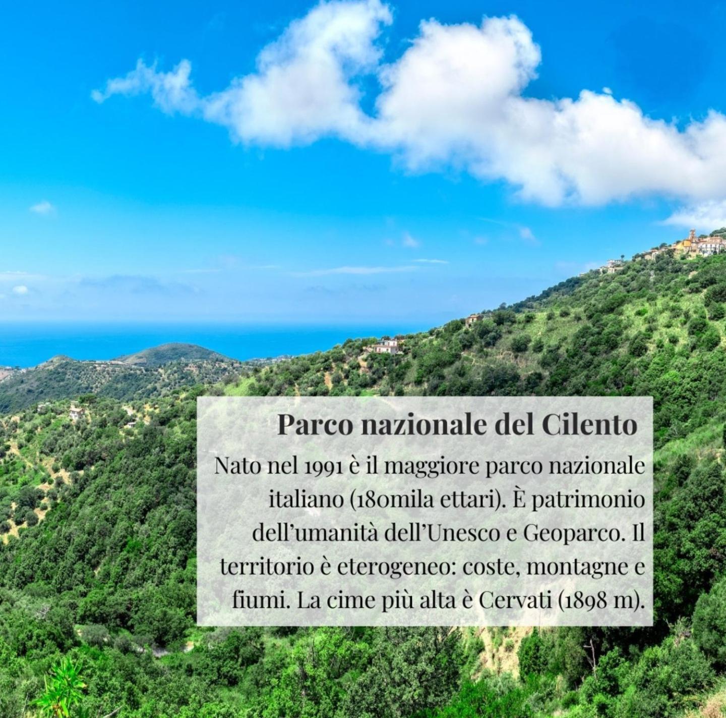 Apartament Nennella Cilento House Cuccaro Vetere Zewnętrze zdjęcie